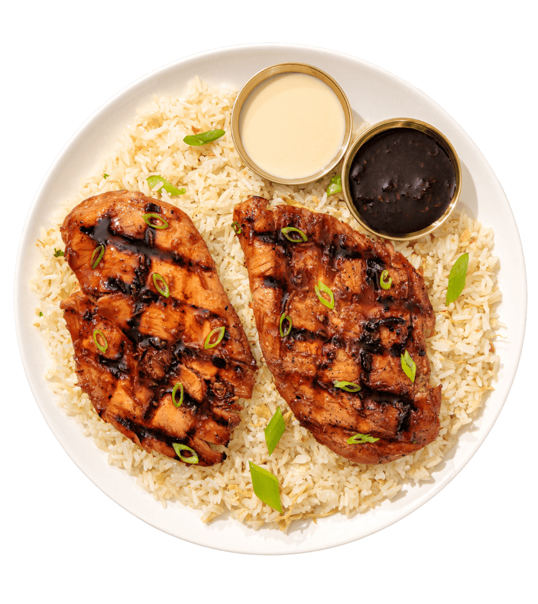 Teriyaki flame-grilled chicken